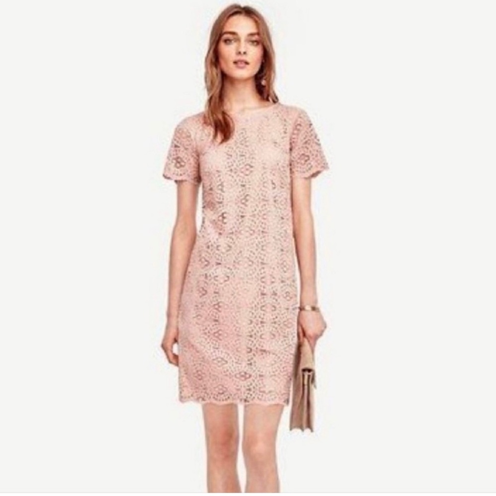 Pink Lace Dress